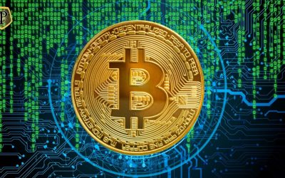 Čínský soud v Šanghaji uznal bitcoin jako legitimní digitální měnu